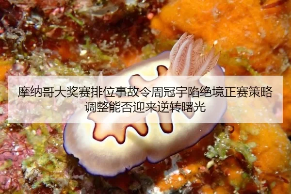mo-na-ge-da-jiang-sai-pai-wei-shi-gu-ling-zhou-guan-yu-xian-jue-jing-zheng-sai-ce-lve-tiao-zheng-neng-fou-ying-lai-ni-2-780.jpg